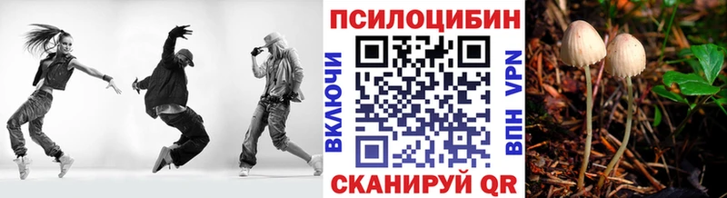 Псилоцибиновые грибы Psilocybine cubensis  Купить закладки  Дзержинский 